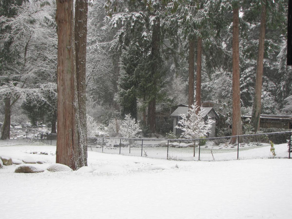 Riverfront Bed And Breakfast Lynn Creek Bagian luar foto